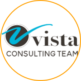 Vista Consulting Team